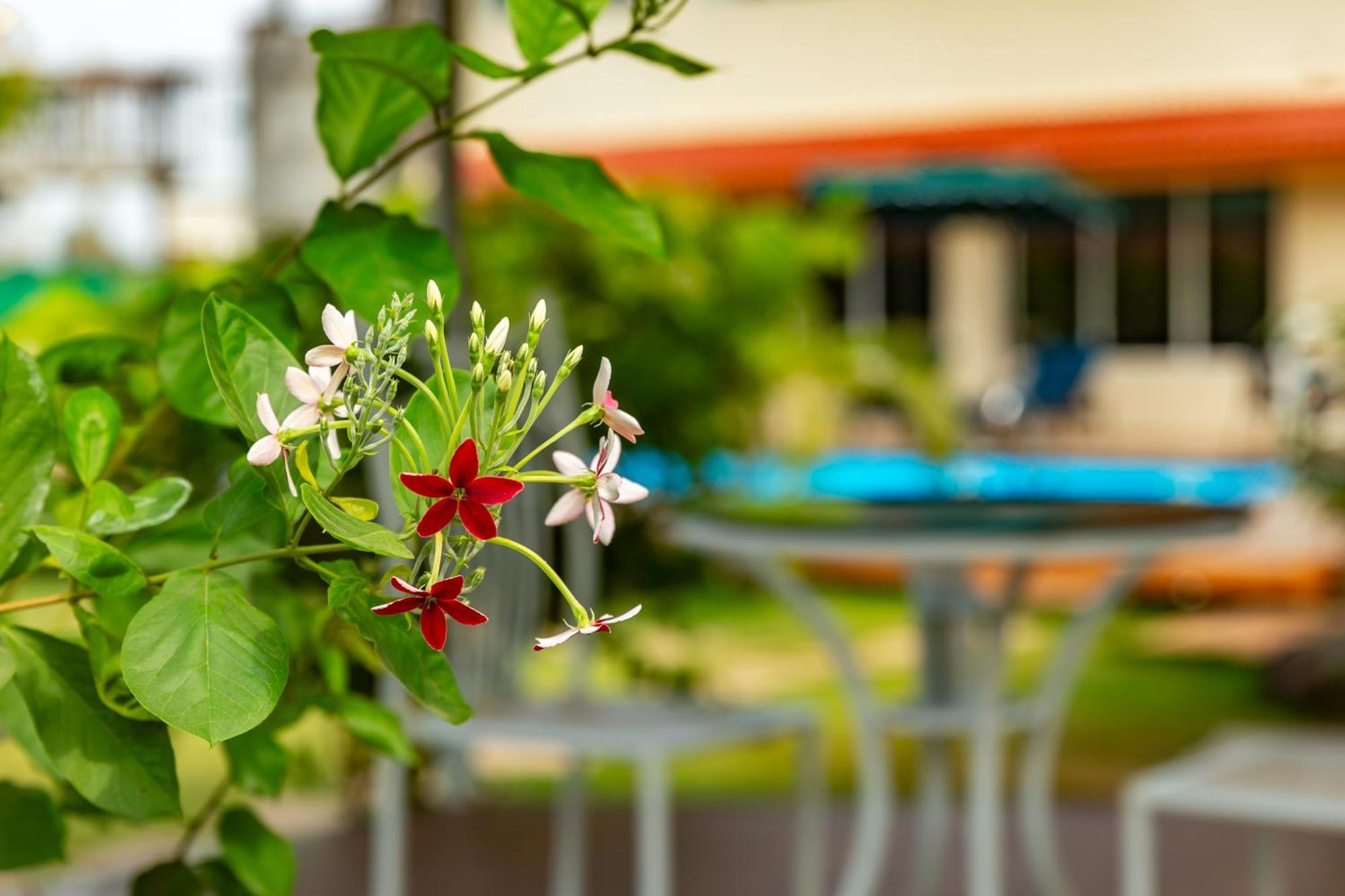 Casa Amora Lonavala Bagian luar foto